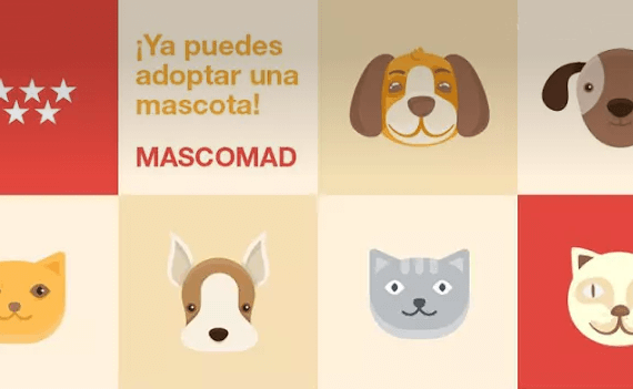 Aplicación MascoMad