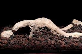 El enigma de pompeya
