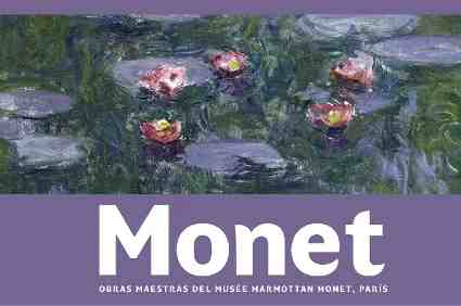 Visita guiada Exposicion Monet Obras Maestras del Musée Marmottan Paris