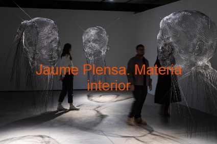 Visita guiada exposición Jaume Plensa. Materia interior